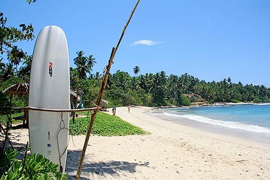 сколько стоит сёрфинг на Шри-Ланке