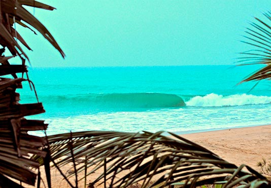 Сёрфинг в августе на Шри-Ланке