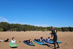 Dreamsurf Питер