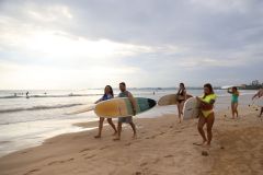 Заезд на Шри 28 января — 8 февраля 2026