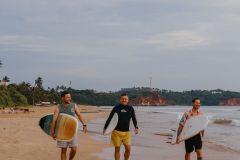 Заезд на Шри 28 января — 8 февраля 2026