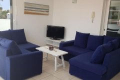 8-villa-na-kanarakh-v-marte-2019