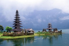 Bali_NY6