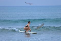 NY_2026_surfing_25