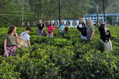 Новый Год на Шри 2026