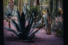 Тур в Марокко в октябре 2025