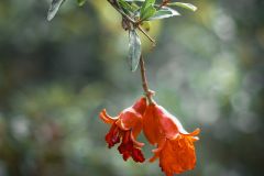 Тур в Марокко в октябре 2025