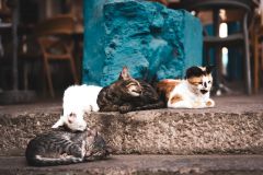 Тур в Марокко в октябре 2025