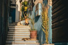 Тур в Марокко в октябре 2025