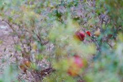 Тур в Марокко в октябре 2025