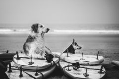 Тур в Марокко в октябре 2025