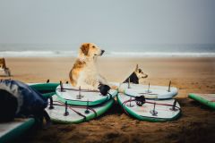 Тур в Марокко в октябре 2025