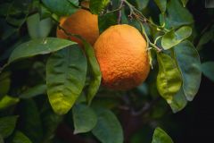 Тур в Марокко в октябре 2025