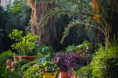 Тур в Марокко в октябре 2025