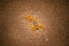 Тур в Марокко в октябре 2025c_165