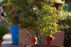 Тур в Марокко в октябре 2025