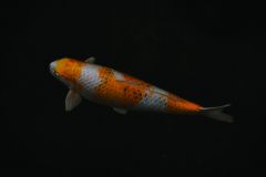 Тур в Марокко в октябре 2025