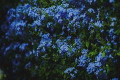 Тур в Марокко в октябре 2025