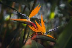 Тур в Марокко в октябре 2025