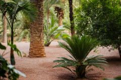 Тур в Марокко в октябре 2025