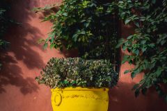 Тур в Марокко в октябре 2025