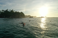 Сёрфинг с Митяем