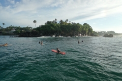 Сёрфинг с Митяем