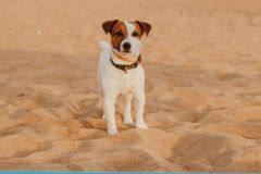 Школа сёрфинга в Петербурге