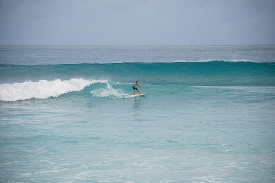 Сёрфинг в Доминикане в феврале